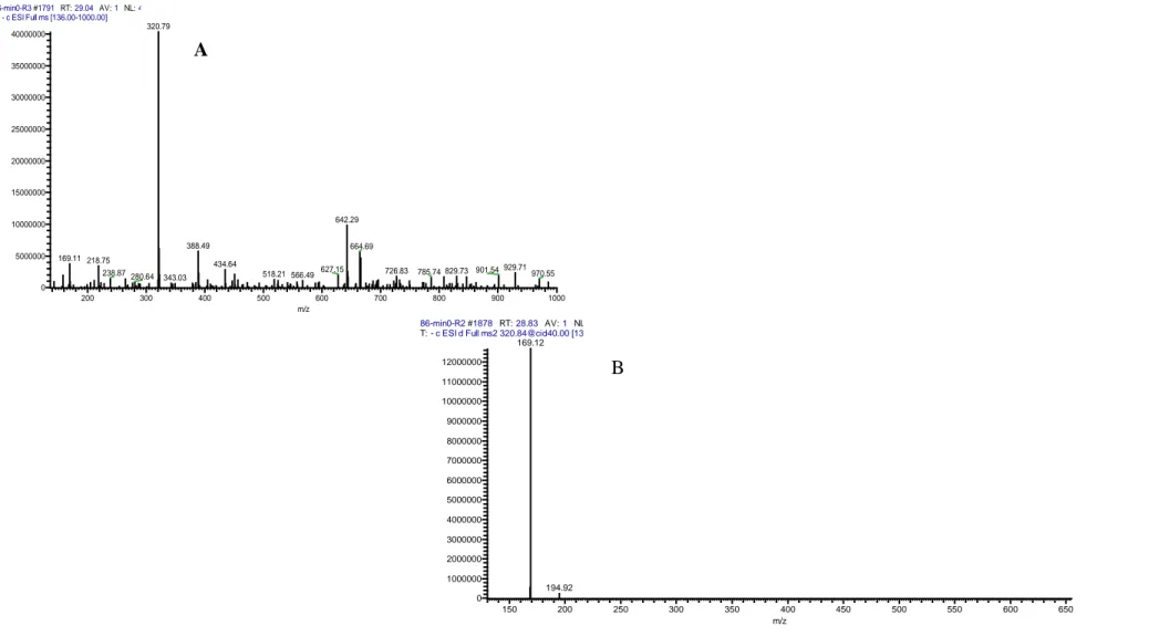 Figura  6.  Iones  identificados  en  MS-LC  del  éter-digaloil  glucosa  para  el  galotanino  H,  iones  en  el  primer  cromatograma  (A)  e  iones  en  el  segundo cromatograma (B)