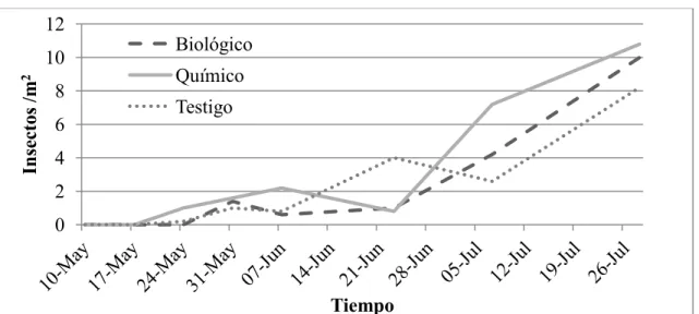 Figura 2. Dinámica poblacional de Phyllophaga sp en los tratamientos biológico, químico  y testigo en Río Hondo, Francisco Morazán, Honduras, 2011