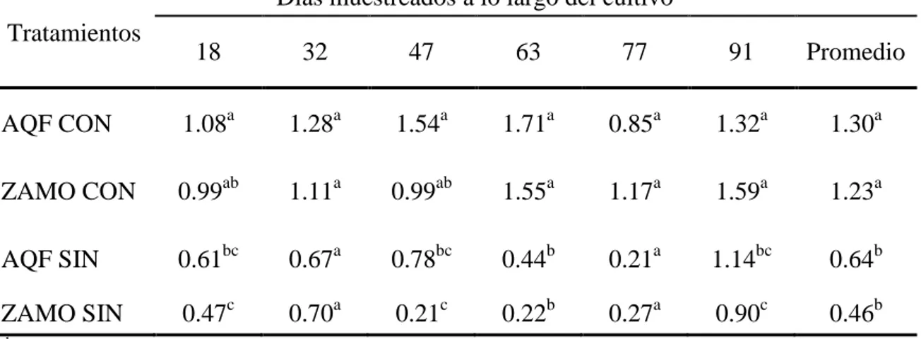 Cuadro 5. Ganancia diaria de peso (g) de dos líneas genéticas de tilapia engordadas en dos  ambientes  en  la  Escuela  Agrícola  Panamericana