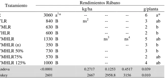 Cuadro 7.Comparación  de los rendimientos de rábano en monocultivos y policultivos en  kilogramos por hectárea y kilogramos por planta en Zamorano, Honduras