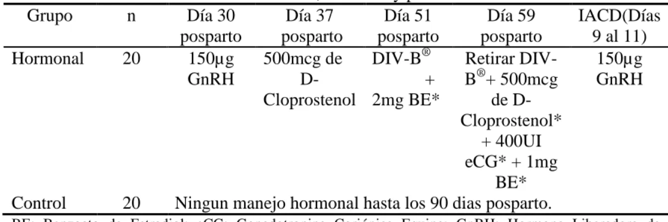 Cuadro 1. Distribución de los tratamientos, animales y protocolos a utilizar. 