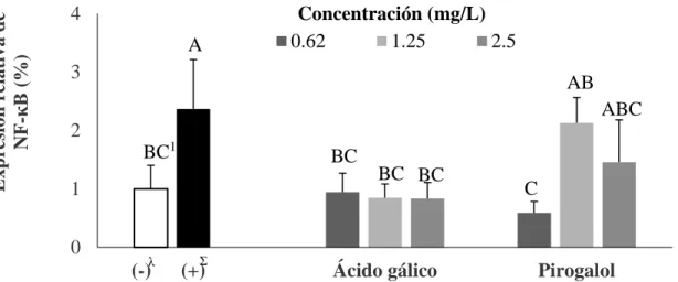 Figura 8. Efecto de los tratamientos en la expresión del primer NF- κB, en preadipocitos  (3T3-L1).