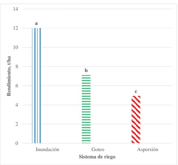 Figura 6. Efecto del sistema de riego en el peso del grano cosechado (rendimiento) de cada  subparcela en la producción de arroz en el lote 14 de zona 2 en Zamorano, Honduras