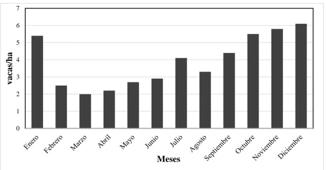 Figura 7. Carga animal (UA/ha) estimada para los doce meses del año en base a los  reportes de investigación en la Hacienda Santa Elisa