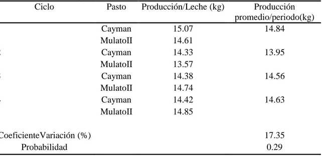 Cuadro 6. Promedio de producción  diaria de leche por periodo (kg/vaca) en la unidad de  ordeño de la Escuela Agrícola Panamericana Zamorano, Honduras