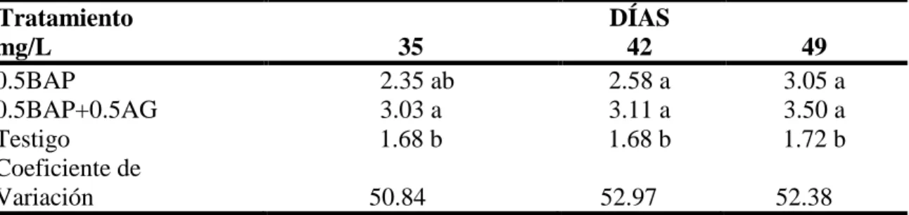 Cuadro 3.- Número de hojas por meristemo de aguacate (Persea americana Mill.) variedad  Criollo en etapa de establecimiento in vitro como respuesta a Bencilaminopurina (BAP) y  Acido Giberélico (AG)