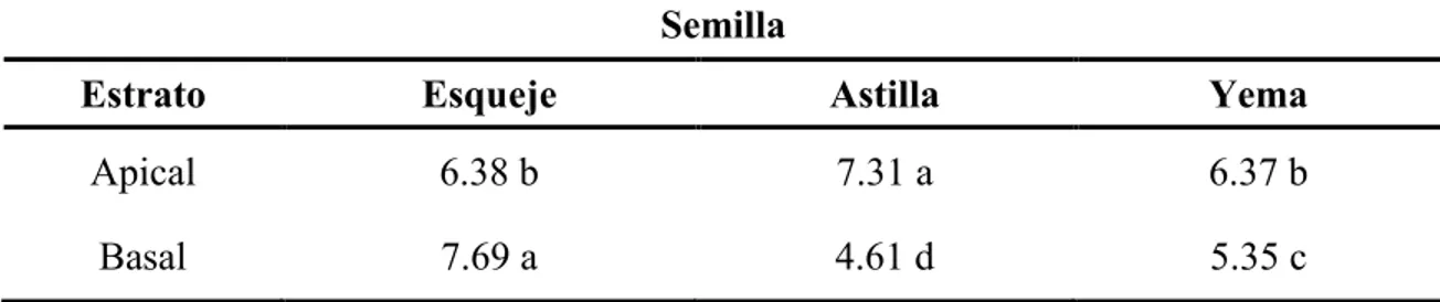 Cuadro 5. Efecto del estrato apical, basal  y el tipo de semilla vegetativa en el número de  macollas obtenidas en la caña de azúcar