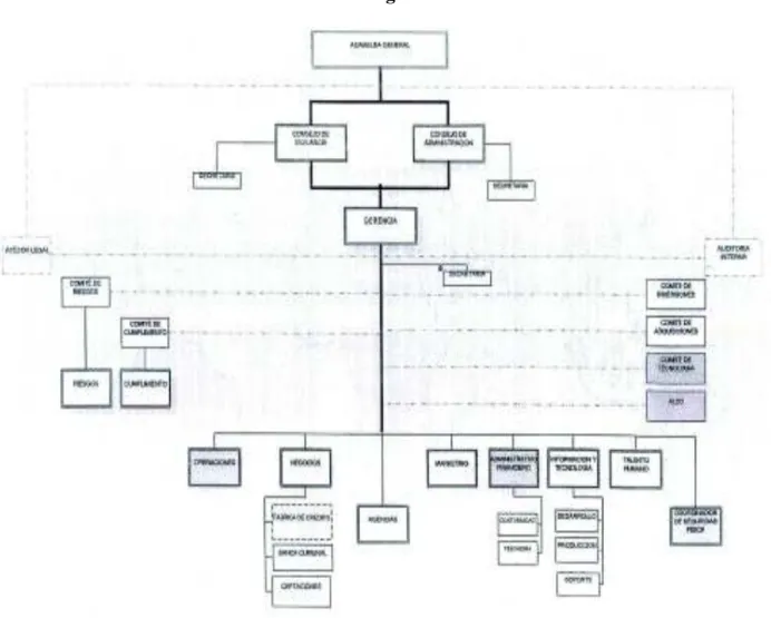 Ilustración 1 Estructura Orgánica 