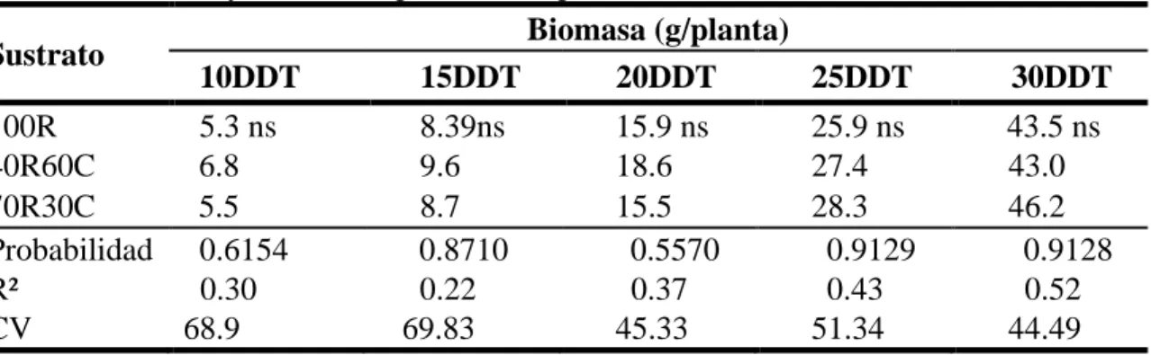Cuadro 5. Efecto de tres sustratos en la biomasa (g) de plantas de lechuga cultivar Kristine  a los 10, 15, 20, 25 y 30 días después del trasplante (DDT)