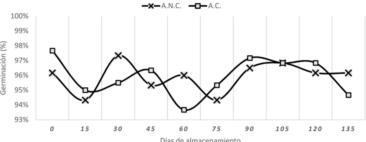 Figura  2.  Porcentaje  de  germinación  de  las  semillas  de  frijol  Amadeus  77  en  ambos  tratamientos durante el periodo de almacenamiento