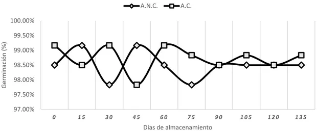 Figura 4. Porcentaje de vigor de las semillas de frijol Amadeus 77 en ambos tratamientos  durante el periodo de almacenamiento