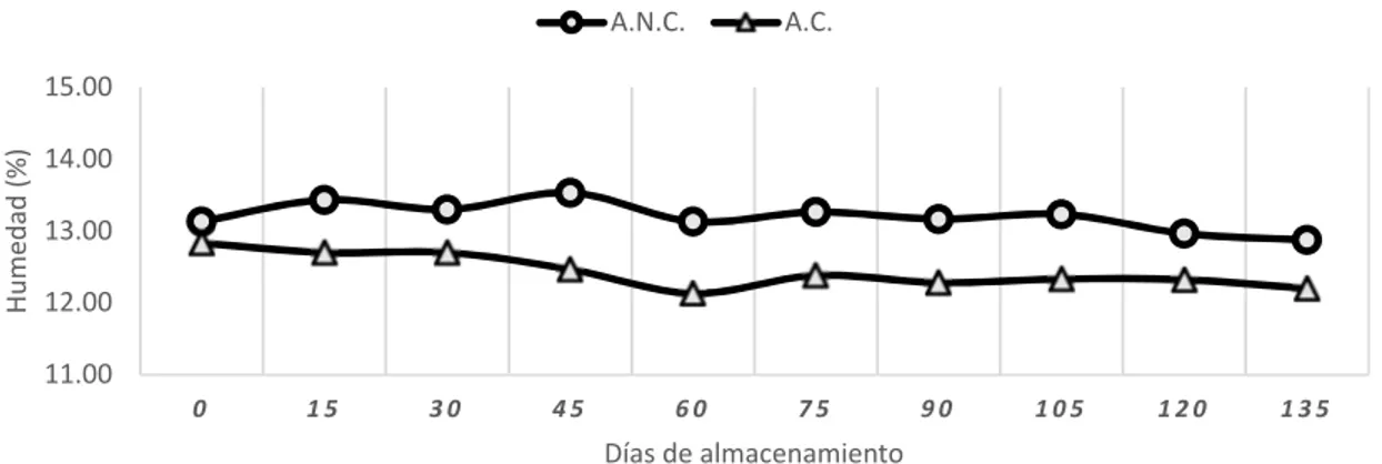 Figura  6.  Porcentaje  de  humedad  de  las  semillas  de  frijol  Amadeus  77  en  ambos  tratamientos durante el periodo de almacenamiento