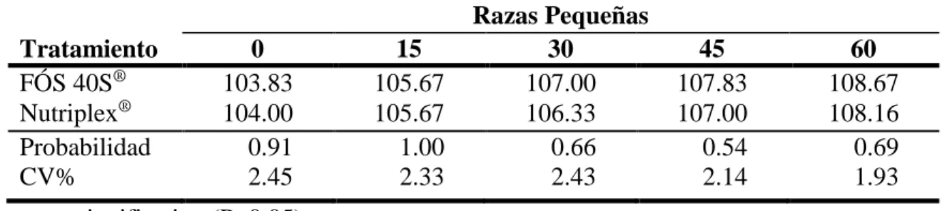 Cuadro 6. Valores medios de altura (cm) a nivel de cruz por periodos de razas pequeñas