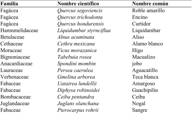 Cuadro  4.  Especies  recomendadas  para  restaurar  la  micro  zona  de  recarga  y  el  bosque  ribereño