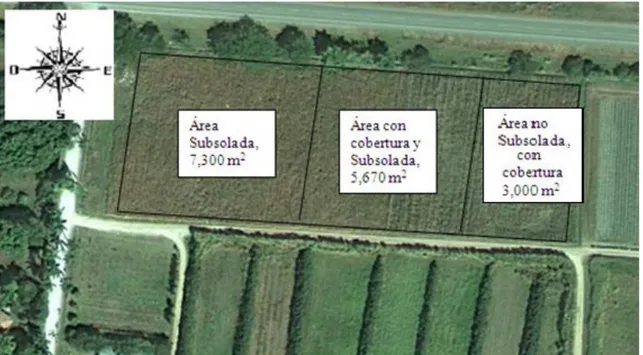 Figura  1.  Distribución  de  tratamientos  en  el  lote  0,  sección  de  olericultura,  E.A.P