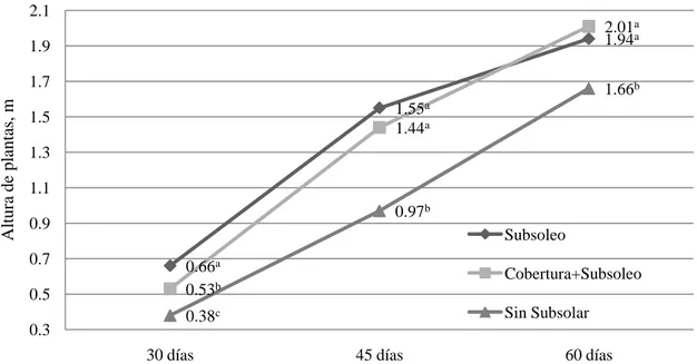 Figura 6.  Efecto del subsoleo en el crecimiento del cultivo de maíz cv. 30F32WHR. 
