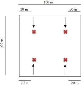 Figura 3. Ubicación de la toma de muestra en cada finca, de caña de azúcar (Saccharum  officinarum L.) en el departamento de Sonsonate, El Salvador