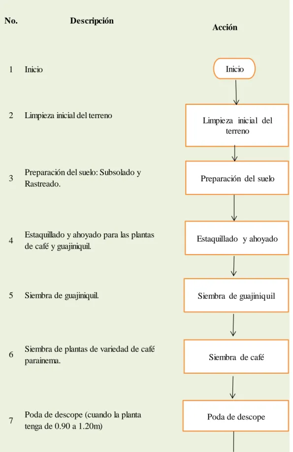 Figura 2. Flujo de proceso para la producción de café en Santa Inés.  