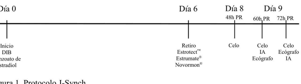 Figura 1. Protocolo J-Synch. 