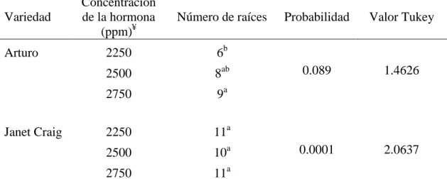 Cuadro  2.  Número  de  raíces  de  Dracaena  deremensis    por  concentración  de  ácido  indol -3- butírico en estacas de 30 cm