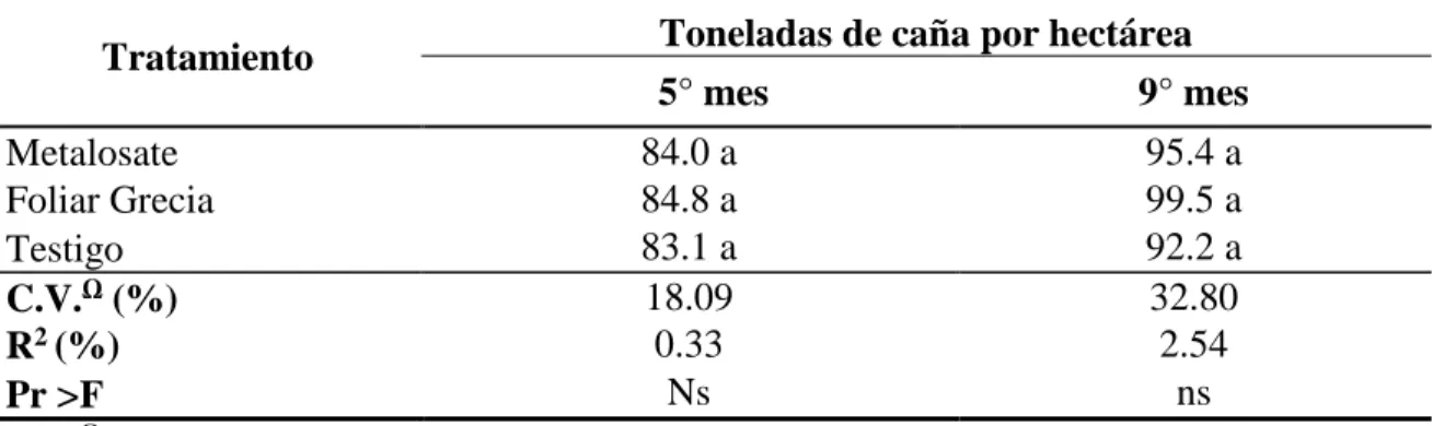 Cuadro  7.  Rendimiento de  toneladas  de  caña  por  hectárea  al  quinto  y  noveno  mes  en  el  Ingenio La Grecia, Choluteca, Honduras