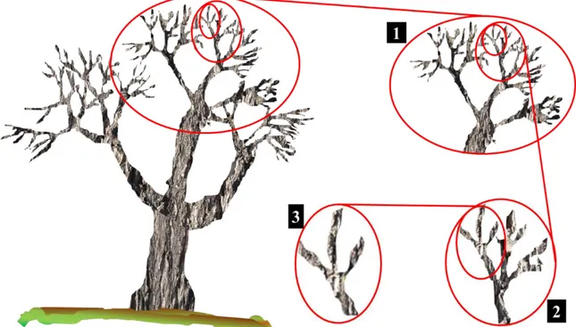 Figura  4.  Esquema de auto-semejanza en el árbol, donde a diferentes niveles de auto- auto-semejanza (1, 2,3), se observa una estructura análoga al árbol total pero a una escala cada  vez menor