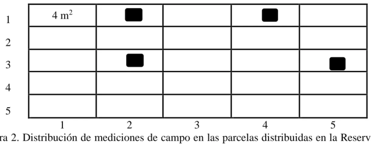 Figura 2. Distribución de mediciones de campo en las parcelas distribuidas en la Reserva  Biológica Uyuca, Zamorano, Honduras