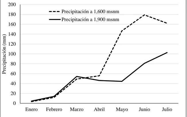 Figura 3. Precipitación vertical de enero hasta julio del 2016 en la Reserva Biológica Uyuca