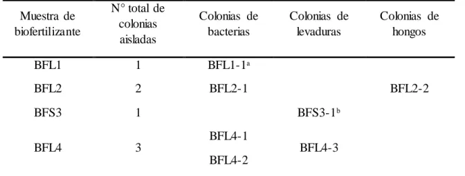 Cuadro 4. Colonias  de MM aislado  de los  biofertilizantes  artesanales. 