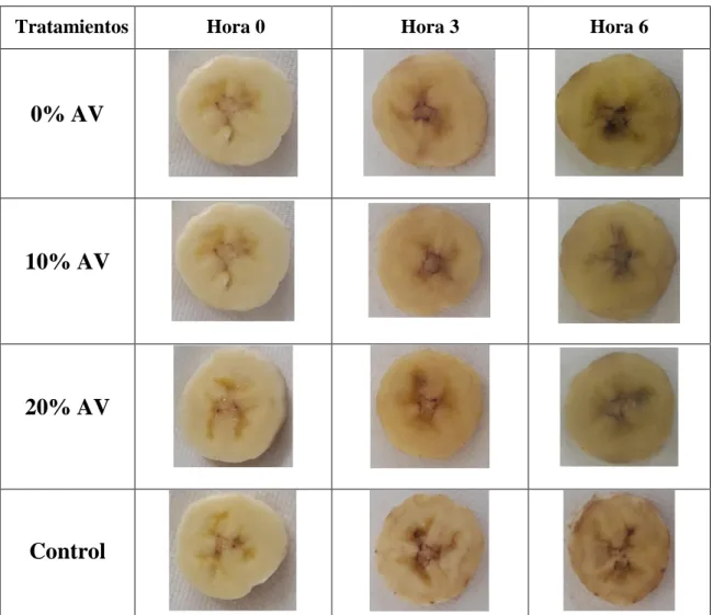 Figura 3.  Cambios de pardeamiento en rodajas de banano a 28 °C y 60% HR. 