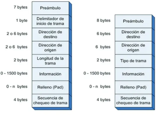 Figura 1.4   LAN Virtual VLAN [5] 