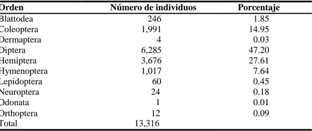 Cuadro 2. Número de individuos colectados en cultivares de lechuga (Lactuca sativa  L.) Versai y Locarno a nivel de orden en trampas amarillas en producción orgánica y  convencional en Zamorano Honduras