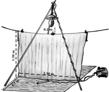Figura 2. Modelo y componentes de la trampa de luz. 