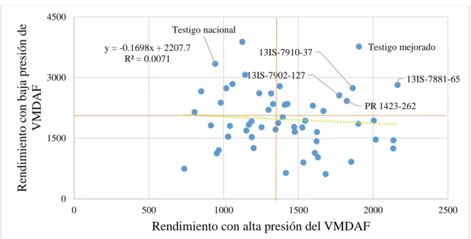 Figura 3. Rendimiento (kg/ha) de las 57 líneas del VIDAC Negro con alta (época de siembra  marzo-mayo)  y  baja  (época  de  siembra  septiembre-noviembre)  presión  del  VMDAF