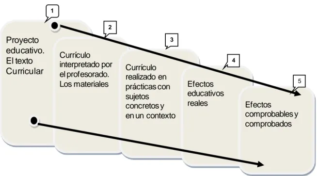 Figura 4. Esquema de la concepción del currículo como proceso y praxis 