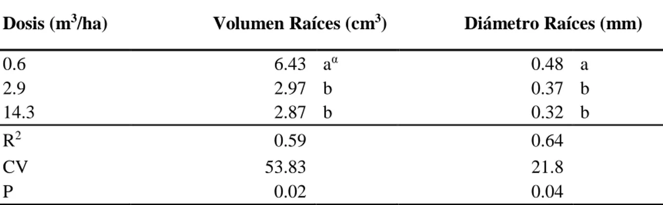 Cuadro 14. Efecto de la aplicación de diferentes dosis de vinaza tratada y vinaza pura sobre  volumen  y  diámetro  de  raíces  en  plantas  de  frijol,  var