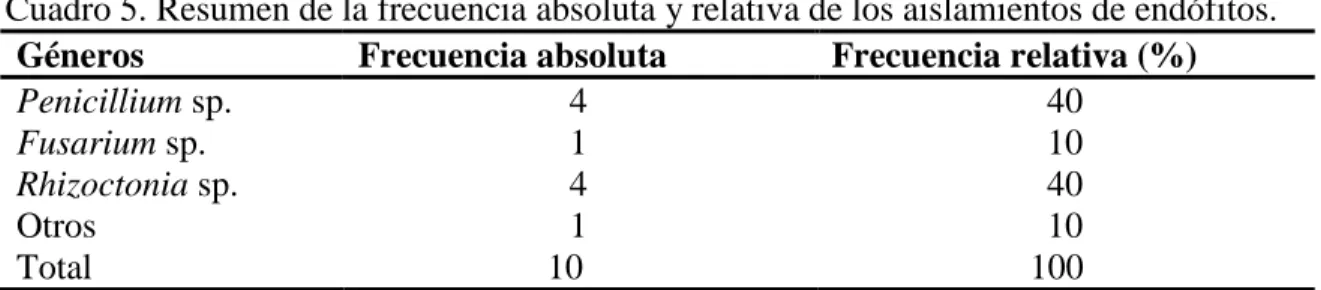 Cuadro 5. Resumen de la frecuencia absoluta y relativa de los aislamientos de endófitos