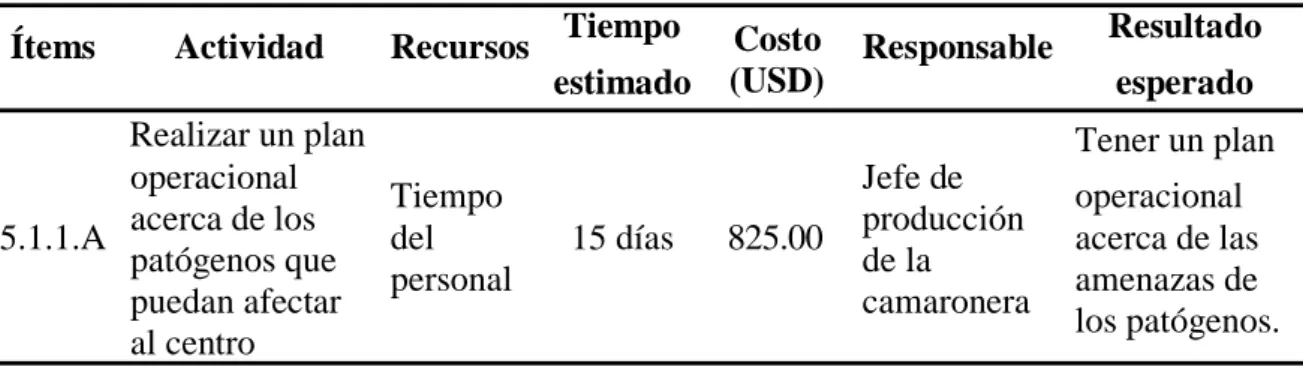 Cuadro 25. Plan de acción para el ítem 5.1.1.A. 