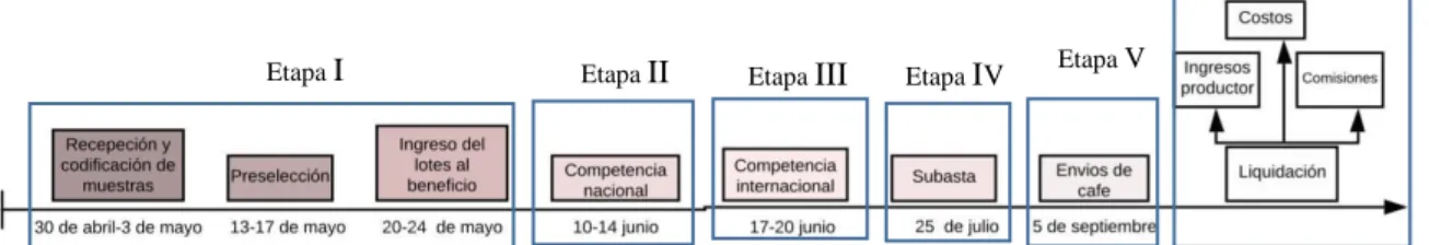 Figura 1. Flujograma del programa COEZ. 