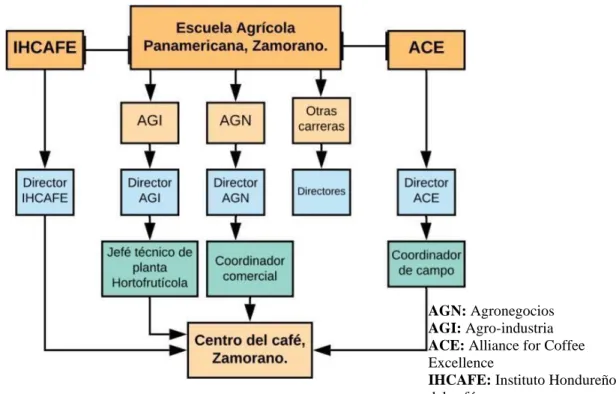 Figura 2. Organigrama administrativo de COEZ. 