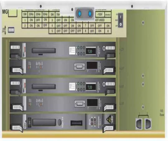 Figura 1.19 Módulo Principal CS1000 [6]