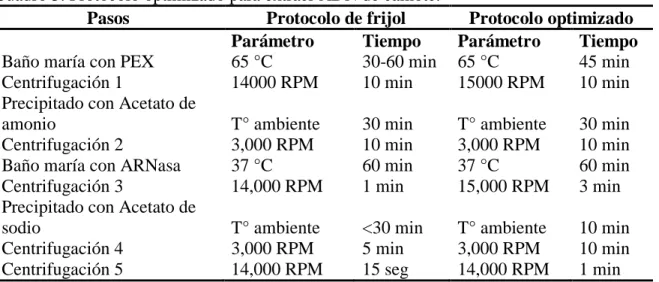 Cuadro 3. Protocolo optimizado para extraer ADN de camote.  