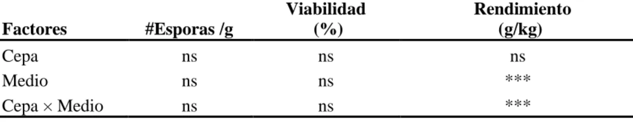 Cuadro 1. Efecto de las cepas, el medio y la interacción de ambas sobre las variables  evaluadas, Zamorano, 2019