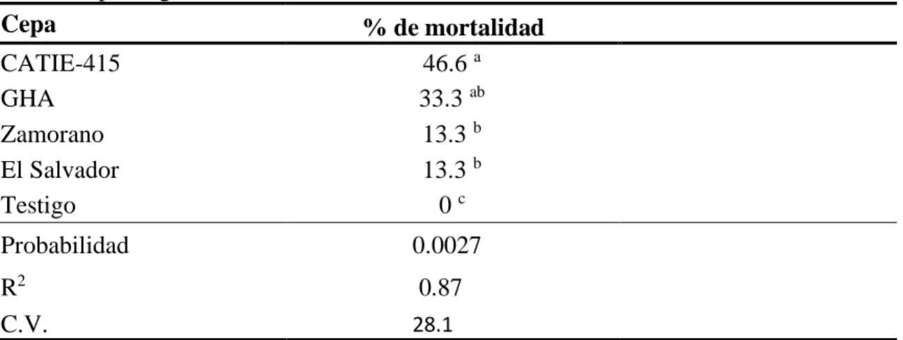 Cuadro 4. Porcentaje de mortalidad de C. sordidus adultos a una concentración de  1.7×10 11  eporas/g de B
