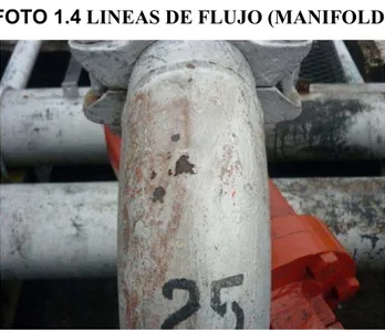 FOTO 1.4 LINEAS DE FLUJO (MANIFOLD) 