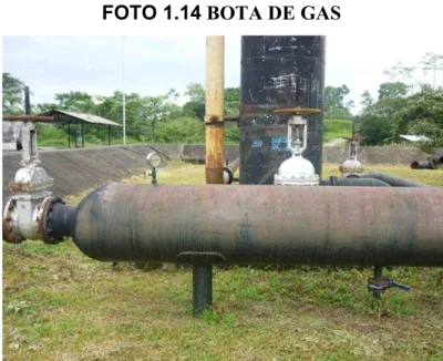 FOTO 1.14 BOTA DE GAS 