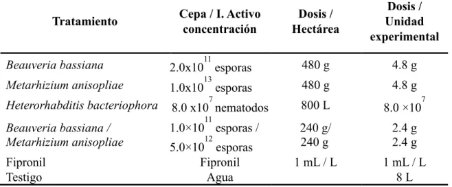 Cuadro 1. Tratamientos evaluados para el ensayo I para el control de larvas de Amblyomma  cajennense en potreros del Club Hípico de Zamorano, Honduras