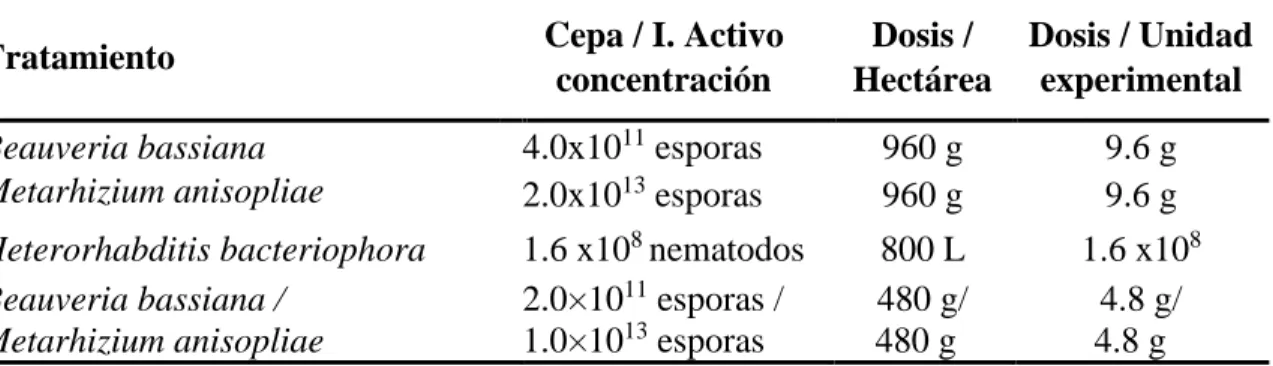 Cuadro  2.  Tratamientos  evaluados  para  el  ensayo  II  para  el  control  de  larvas  de    Amblyomma cajennense en potreros del Club Hípico de Zamorano, Honduras