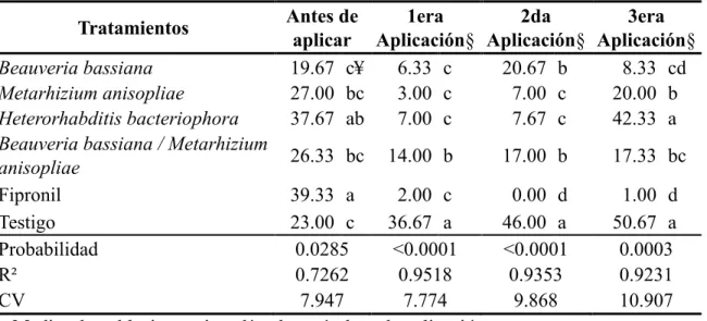 Cuadro  3.  Población  promedio  de  larvas  de  Amblyomma  cajennense  en  tres  fechas  de  muestreo en potreros del Club Hípico de Zamorano, Honduras