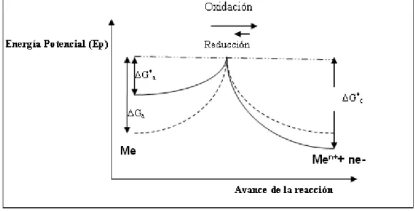Figura 1.9. Energía del metal y de los electrones en el estado de equilibrio, E=E corr .(-----)  Energía del metal y de los electrones cuando E es mayor a E corr .( ____ ) 